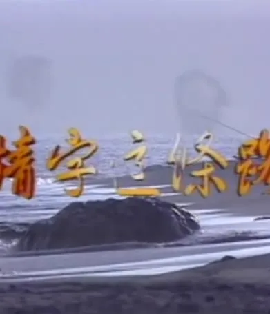 情字这条路