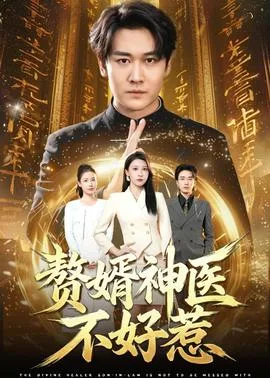 赘婿神医不好惹